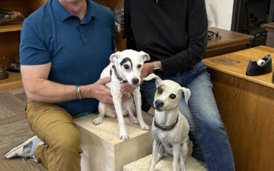 Art Dealer, Champion Of Cheyenne Bronze Project, Has His 16-Year-Old Dog Bronzed